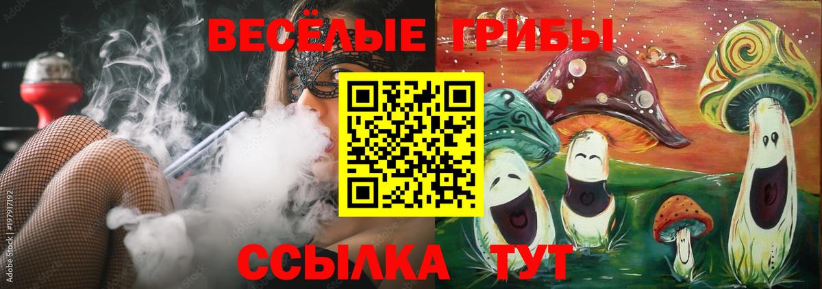 Псилоцибиновые грибы Psilocybe  Галлюциногенные грибы ЛСД  Вольск  закладки  Вход с VPN 