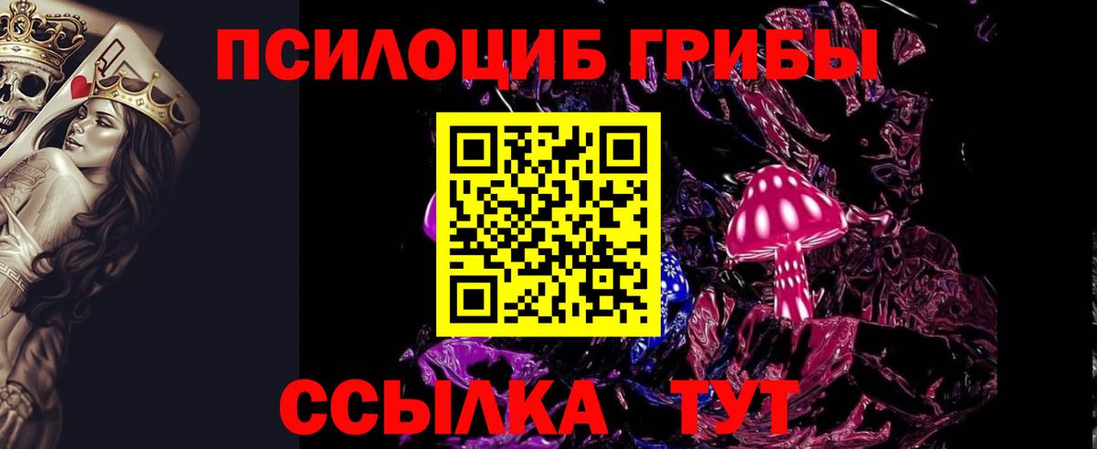 Галлюциногенные грибы Cubensis Вольск
